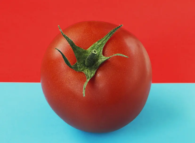 A round red tomato placed on a background that's half red, half blue