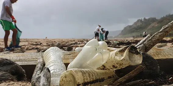 A pile of plastic bottles in the foreground. Behind it, we can see people picking litter on a beach.