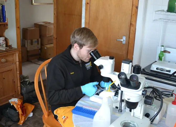 Jim working at a microscope