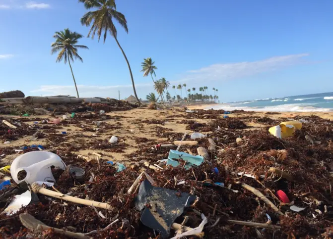 Plastic waste on a beach