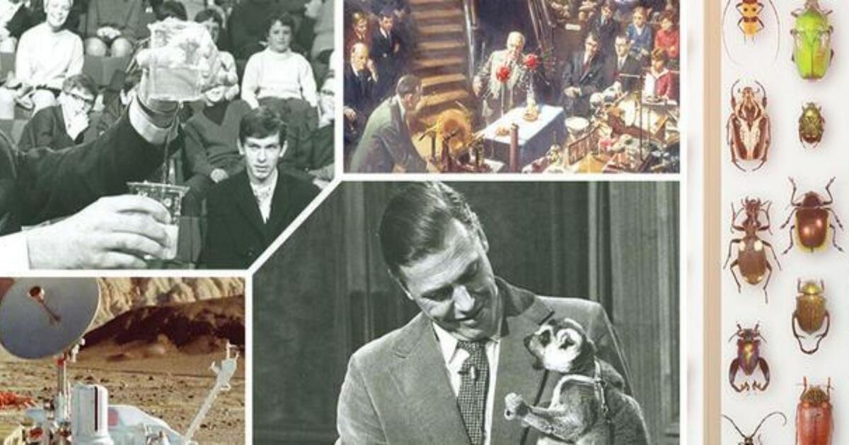 Watch the Royal Institution CHRISTMAS LECTURES archive Royal Institution