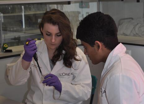 Two students using a micropipette