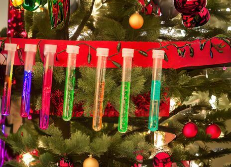 A Christmas tree decorated with test tubes