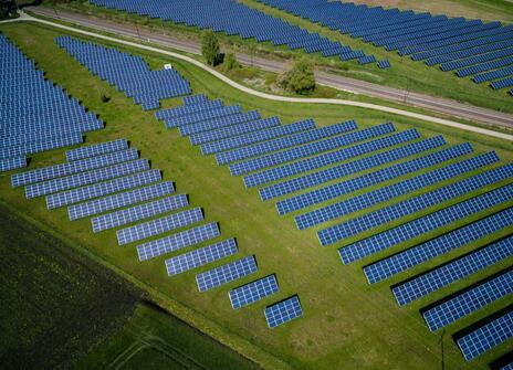 solar panels line a grassy floor