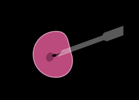 A drawing of an egg being pierced by a needle.