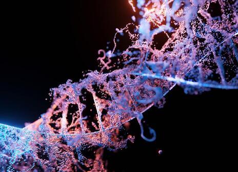 DNA molecule 
